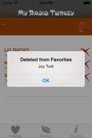 Turkey Radios. screenshot 4