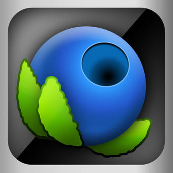 Blueberry Browser (Web Browser with Twitter) LOGO-APP點子