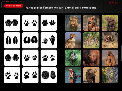 Balades dans le bush - guide safari screenshot 2