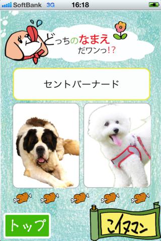 Let's study puppy's Name! screenshot 3