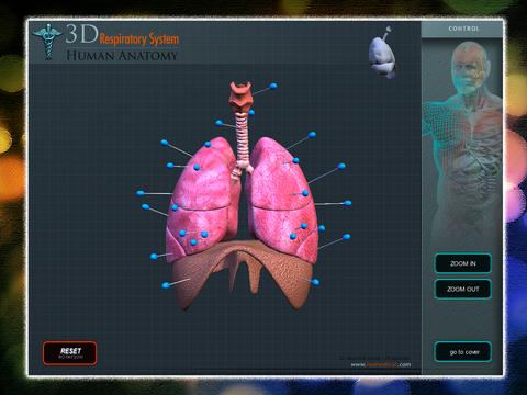 3D Lungs Pins screenshot 2
