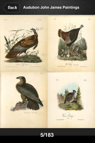 Audubon John James screenshot 3