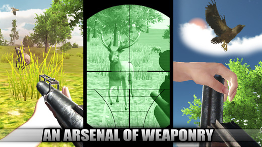 【免費遊戲App】Ace Bird Sniper 2014 - Hunting Birds & Animals, Adult Simulator Hunter Games-APP點子