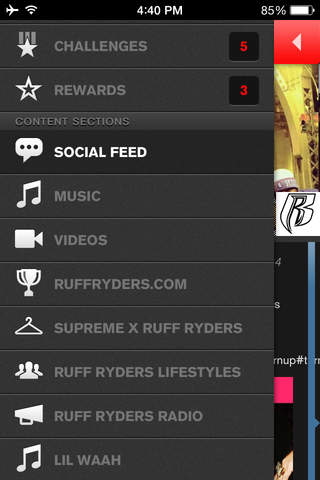 Ruff Ryders screenshot 3
