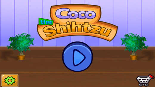 Coco the Shihtzu
