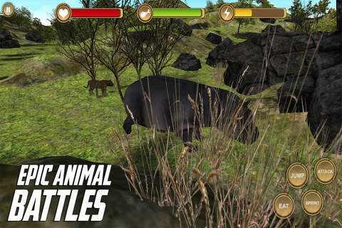 Hippo (Hippopotamus) Simulator HD Animal Life screenshot 3