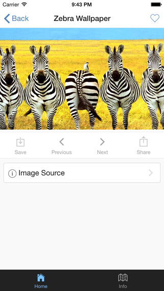 免費下載娛樂APP|Zebra Wallpaper app開箱文|APP開箱王