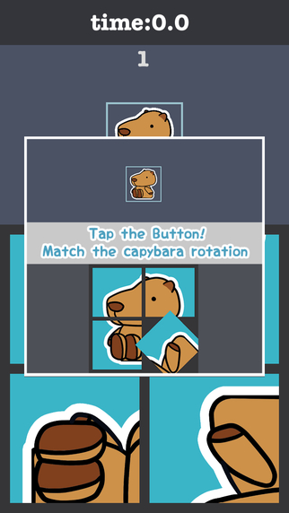 Rotate Capybara Puzzle