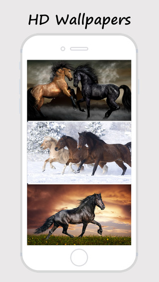 免費下載生活APP|Horse Wallpapers and Backgrounds app開箱文|APP開箱王