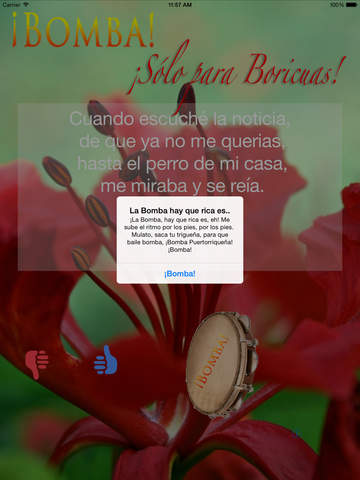 ¡Bombas Navideñas! iPad screenshot 3