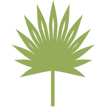 Florida Spa Association LOGO-APP點子