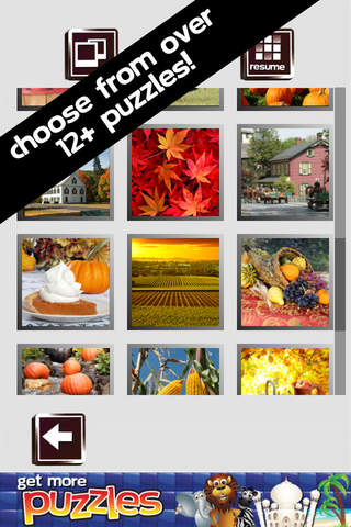 Thanksgiving Puzzles screenshot 2
