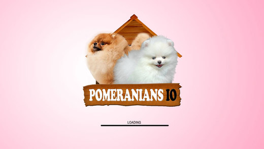 免費下載遊戲APP|Pomeranians IO app開箱文|APP開箱王