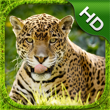 Jaguar Simulator - HD LOGO-APP點子