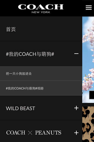 The Coach App: China Edition screenshot 2