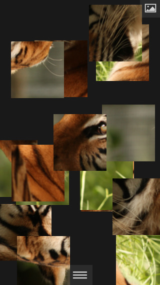 【免費攝影App】Puzzlemania Premium - Make your photos puzzles-APP點子