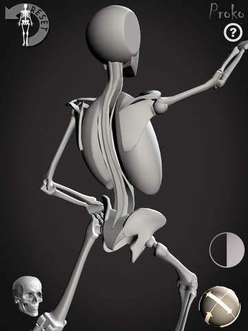 【免費教育App】Skelly - Poseable Anatomy Model for Artists-APP點子