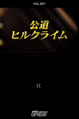 VIDEO OPTION screenshot 2