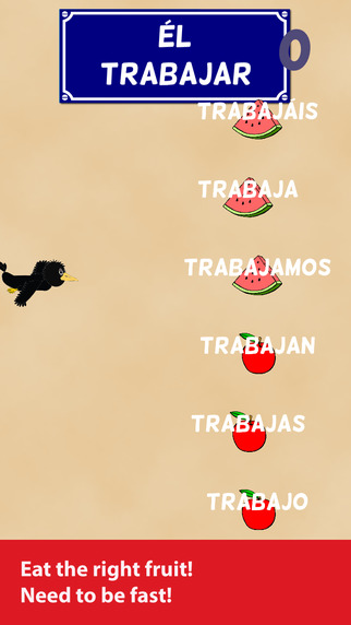 Bird Conjugation - Spanish Verbs