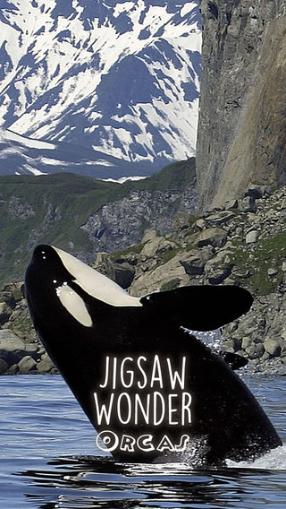 Orca Puzzles for Kids Jigsaw Wonder Edition