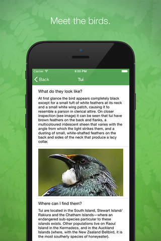 Birdlife of New Zealand screenshot 3