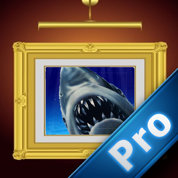 Attack Shark Pro : Shoots And Wins 遊戲 App LOGO-APP開箱王