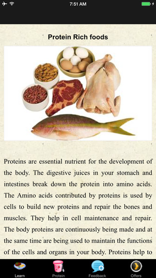 Protein Rich Foods - Healthy Food Tips