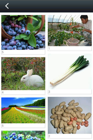 江西生态农业网 screenshot 2