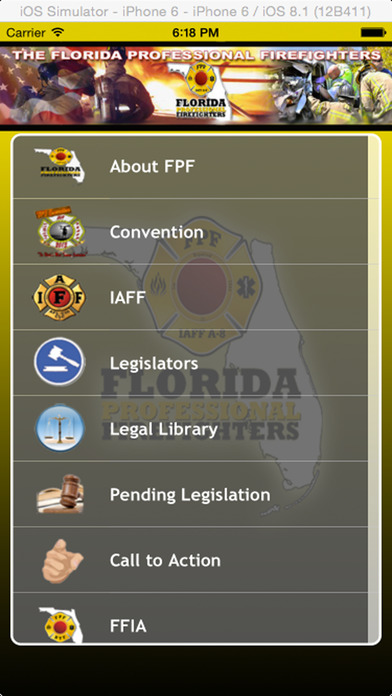 iPhone Screenshot 1