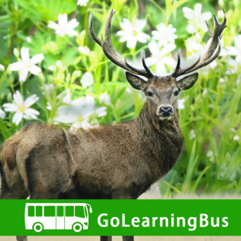 Learn Botany, Biology and Zoology by GoLearningBus LOGO-APP點子