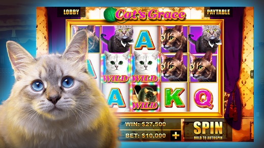 Casino Joy: Video Slots