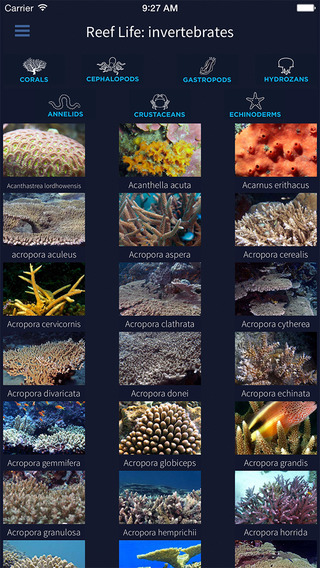 免費下載書籍APP|Invertebrates, by Reef Life app開箱文|APP開箱王