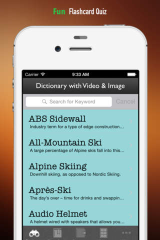 Skiing 101: Quick Learning Reference with Video Guide screenshot 4