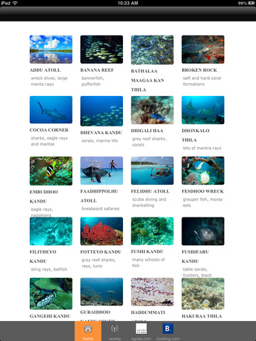 免費下載旅遊APP|maldivesnew app開箱文|APP開箱王