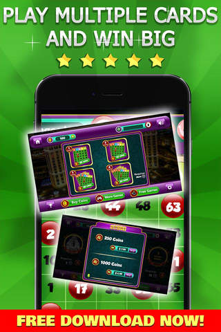 Bingo Mega Win Pro - Practise Your Casino Game and Daubers Skill for FREE ! screenshot 3