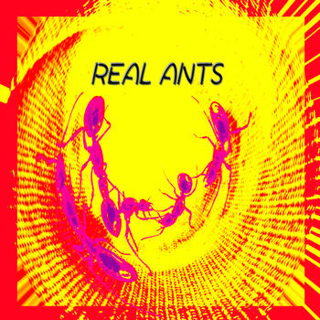 REAL ANTS LOGO-APP點子