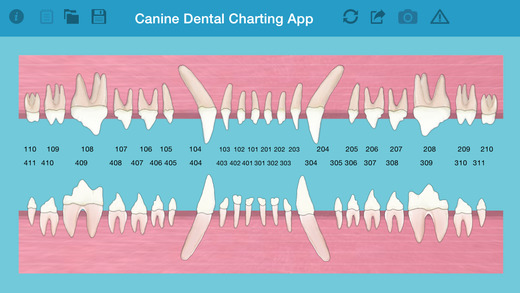 Pet Dental Charting- For veterinarians and technicians Digital solution for dental charting