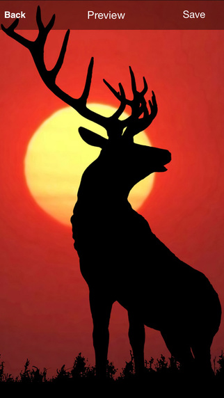 免費下載生活APP|Deer Hunting Wallpaper app開箱文|APP開箱王