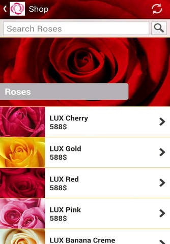 Lux Roses & Co. screenshot 2