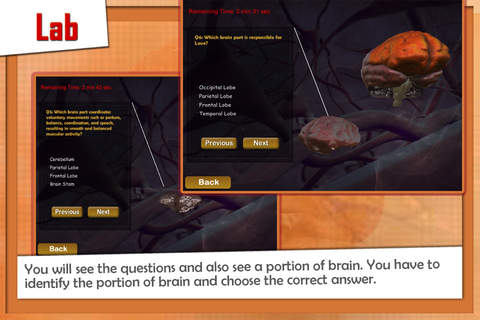 Alyss 3D Lab Human Brain screenshot 3
