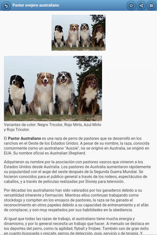 Directory of dog breeds screenshot 2