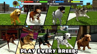 Stray Dog Simulator  Screenshot