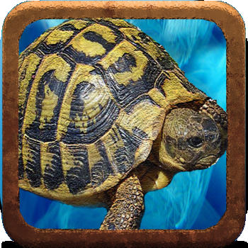Fast Turtle 書籍 App LOGO-APP開箱王