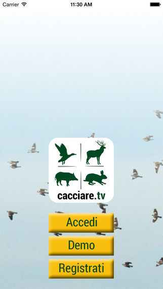 【免費運動App】CacciareTV-APP點子