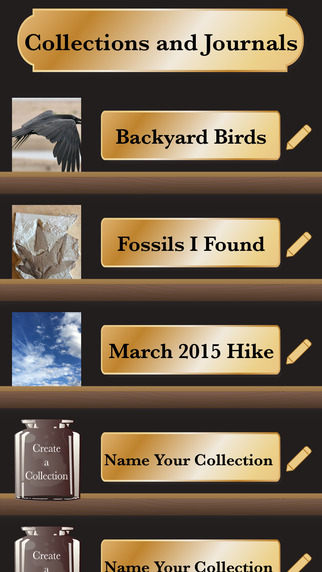 Cabinet of Curiosities: Record Your Discovery Journal
