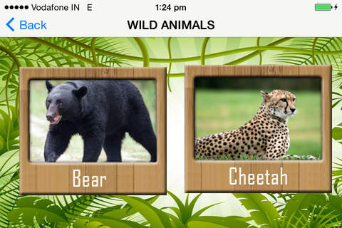 Mobile zoo screenshot 3