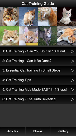 Cat Training Guide - Discover Best Techniques To Train Your Cat