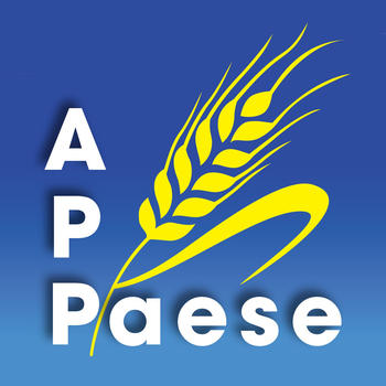 APPaese LOGO-APP點子