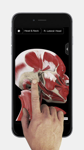 iPhone Screenshot 1