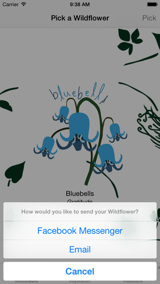 【免費娛樂App】Wildflowers by Patti Callahan Henry-APP點子